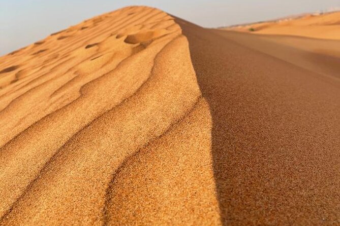 Evening Desert Safari Tours - Hotel pickup keeps the afternoon simple