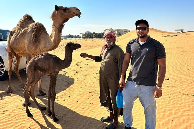 Evening Desert Safari Tours - Optional quad bikes and dune buggies can change the price