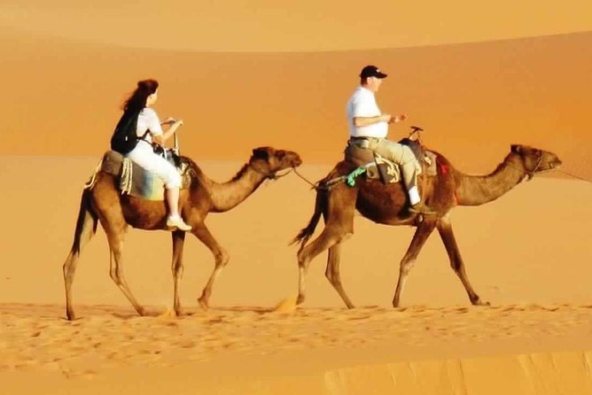 Evening Desert Safari with BBQ Dinner & 7 Live Show's - The 10 to 15 Minute Dune-Bashing Run