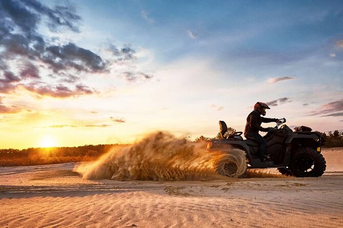 Evening Desert Safari with BBQ Dinner - Guides, group size, and the human side of the day