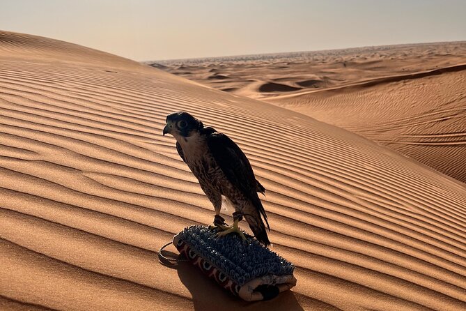 Evening Dubai Desert Safari, Red Sand, Premium camp shows & Diner - Buffet dinner with a live BBQ station