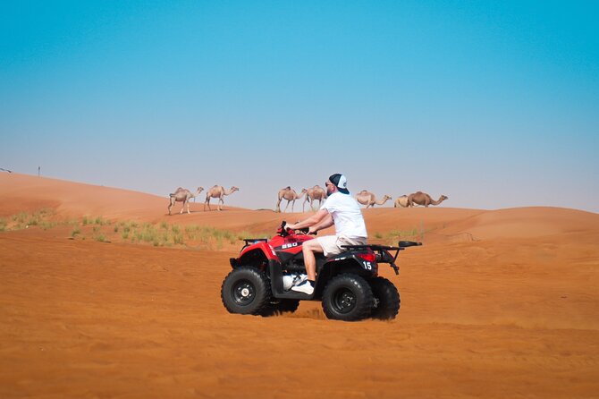 Evening Quad Bike, Desert Safari in Dubai , BBQ Dinner and Shows - From Dubai hotels to Lahbab’s red dunes