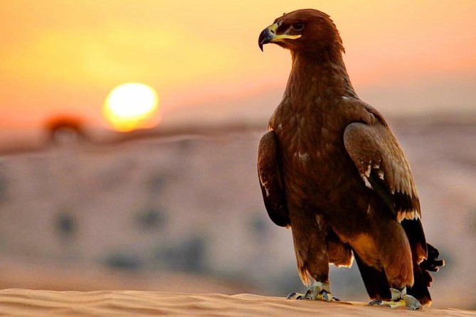 Evening Red Dunes Desert Safari: BBQ Dinner & Adventure Awaits! - Lahbab’s red dunes and the 40-minute dune ride