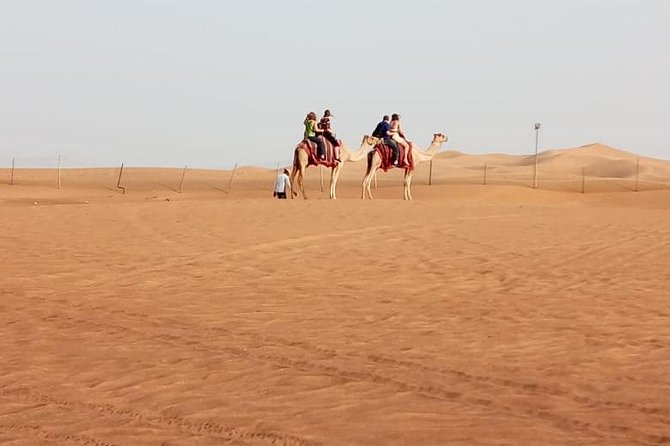 Evening Safari with Quad Bike, Camel Riding, BBQ Dinner and Dune Bashing - Belly dancing, tanoura, and the fire show