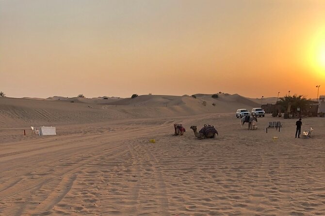 Exhilarating Desert Safari, Including BBQ Dinner from Dubai - Group size, comfort, and practical timing