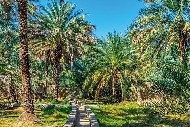 Explore Abu Dhabi In Full Day City Tour (8 Hours) - Louvre Abu Dhabi In Just 30 Minutes