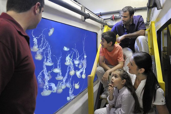 Fish Tales Lost Chambers Tour - The fish hospital shows the work behind the glass