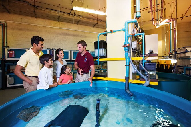 Fish Tales Lost Chambers Tour - The first hour, from check-in to the aquarium