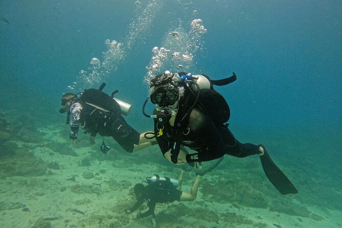 From Abu Dhabi: 2 Dives for Certified Divers in Fujairah - Key points at a glance
