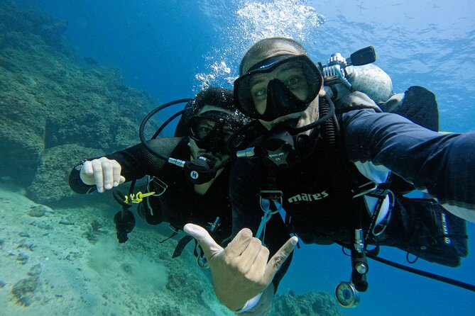 From Abu Dhabi: 2 Dives for Certified Divers in Fujairah - Abu Dhabi to Fujairah: a full day on the clock