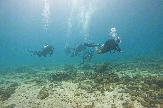 From Abu Dhabi: 2 Dives for Certified Divers in Fujairah - Equipment and changing facilities