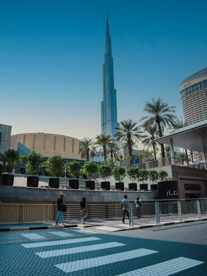 From Abu Dhabi: Dubai Full-Day Sightseeing Tour - The guides make the fast schedule easier