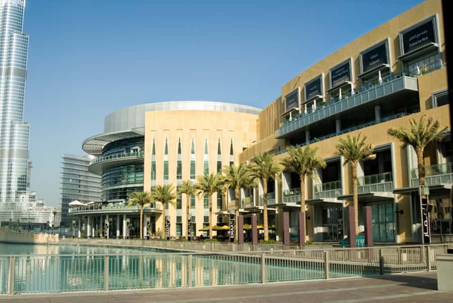 From Abu Dhabi: Explore Dubai with Optional Lunch - Jumeirah Mosque and Dubai’s public image