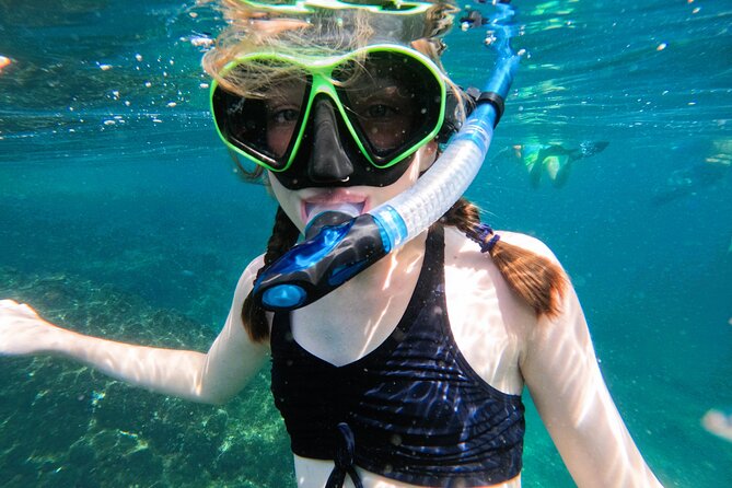 From Abu Dhabi: Snorkeling with turtles in Fujairah with BBQ - What you may see beneath the surface