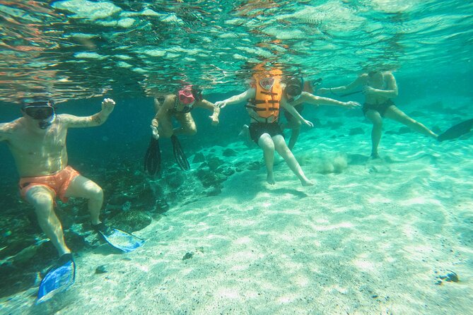 From Abu Dhabi: Snorkeling with turtles in Fujairah with BBQ - BBQ lunch after the water