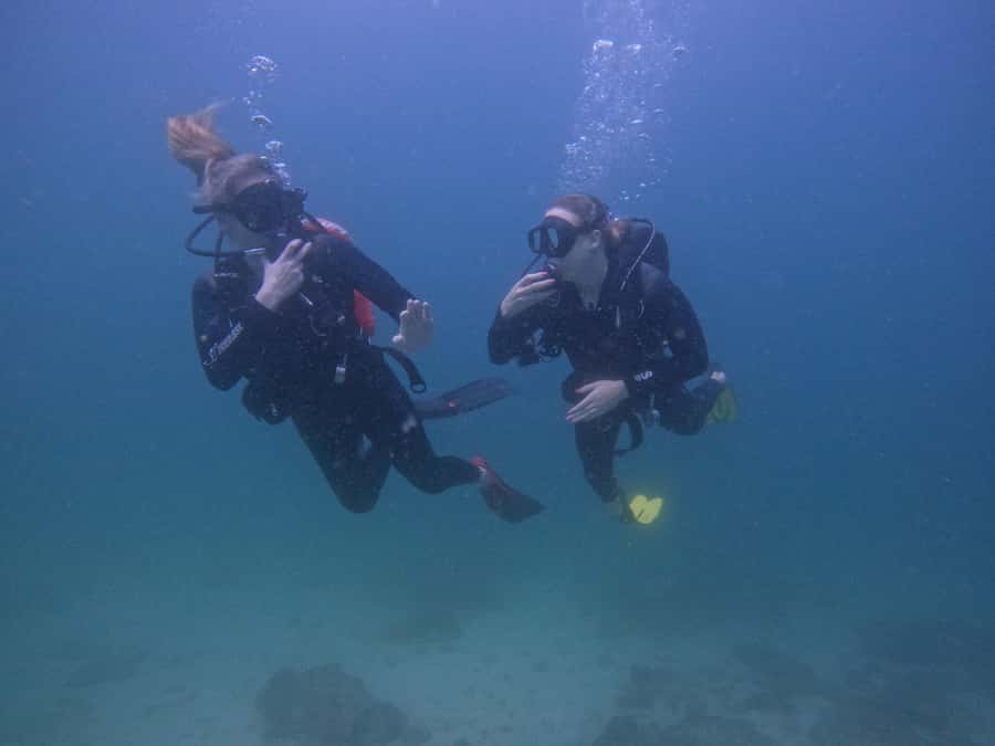 From Dubai: 2 Dives for Certified Divers with BBQ & Transfer - Why Fujairah makes a good change from Dubai