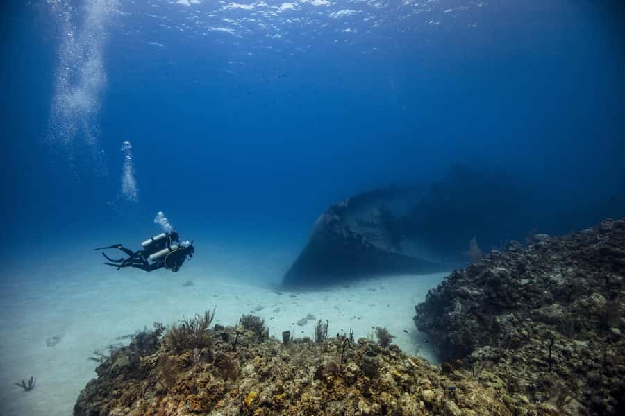 From Dubai: 2 Dives for Certified Divers with BBQ & Transfer - Two one-hour sessions at different sites