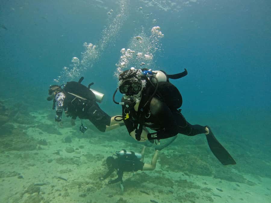 From Dubai: 2 Dives for Certified Divers with BBQ & Transfer - Coral, wrecks, and tiny creatures