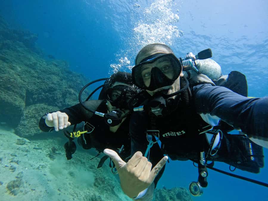 From Dubai: 2 Dives for Certified Divers with BBQ & Transfer - The boat and shore facilities