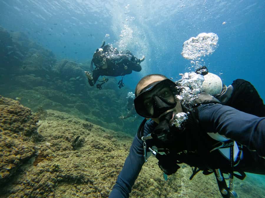 From Dubai: 2 Dives for Certified Divers with BBQ & Transfer - BBQ lunch at Reef Oasis Dive Club