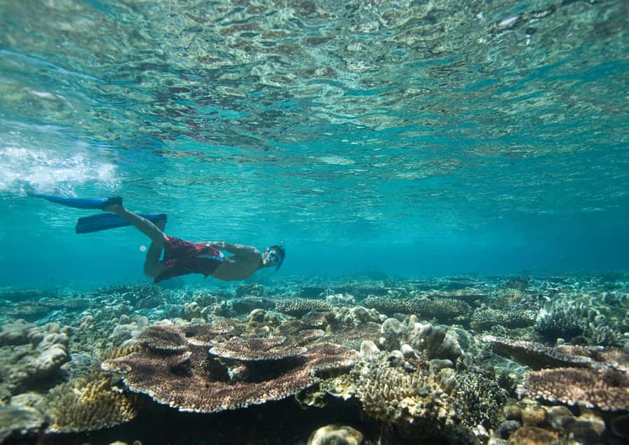 From Dubai: Discovery Scuba Diving & Snorkeling In Fujairah - Your first underwater session at 10 meters