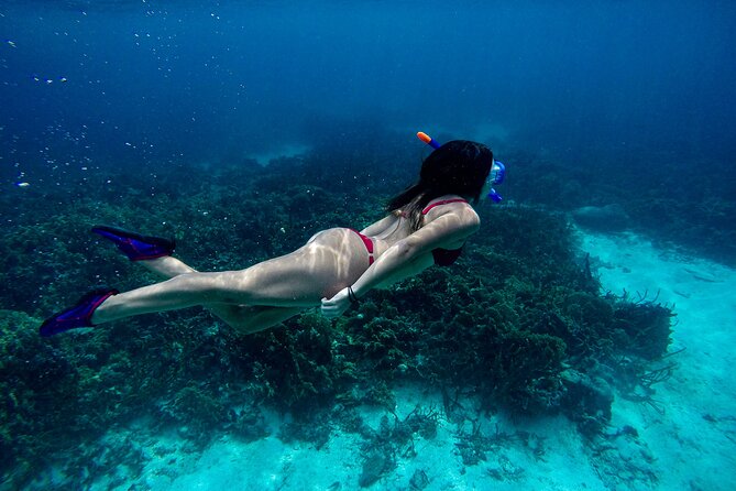 From Dubai: Discovery Scuba Diving & Snorkeling trip in Fujairah - Why this Fujairah outing is worth considering