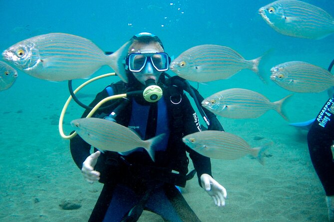 From Dubai: Discovery Scuba Diving & Snorkeling trip in Fujairah - Who will enjoy this activity most?
