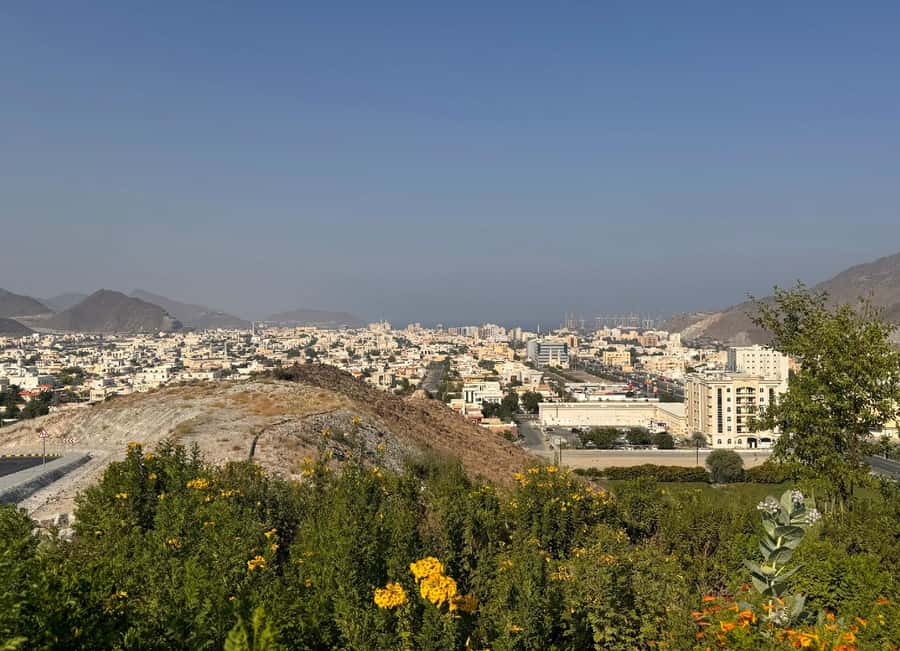 From Dubai: Fujairah City Tour - The Friday Market: useful stop or skippable pause?