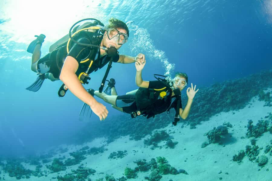 From Dubai: Fujairah Half-Day Scuba Dive and Snorkeling - Key points to know before booking
