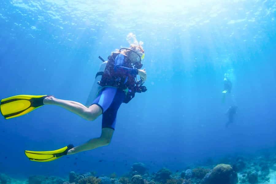 From Dubai: Fujairah Scuba Dive and Snorkeling - Key points at a glance