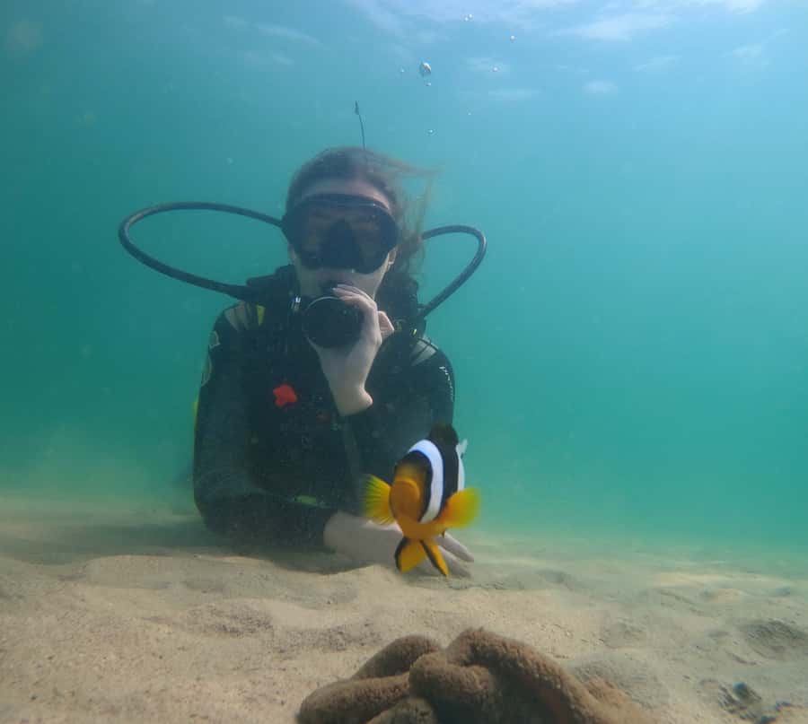 From Dubai: Fujairah Scuba Dive and Snorkeling - Safety and fitness requirements