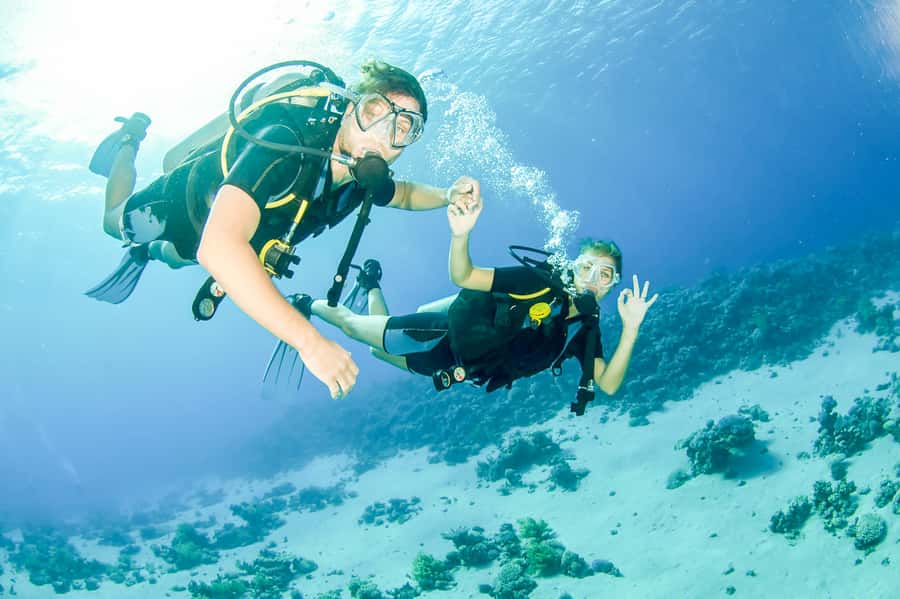 From Dubai: Fujairah Scuba Dive and Snorkeling - Why this Fujairah trip is worth the long road east