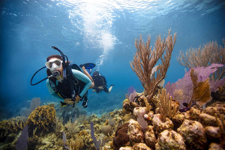 From Dubai: Fujairah Scuba Dive and Snorkeling - Getting ready with the instructor