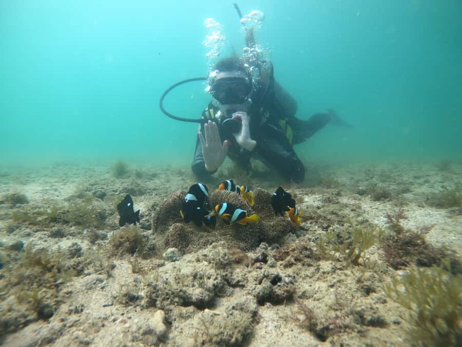 From Dubai: Fujairah Scuba Dive and Snorkeling - The second location adds variety