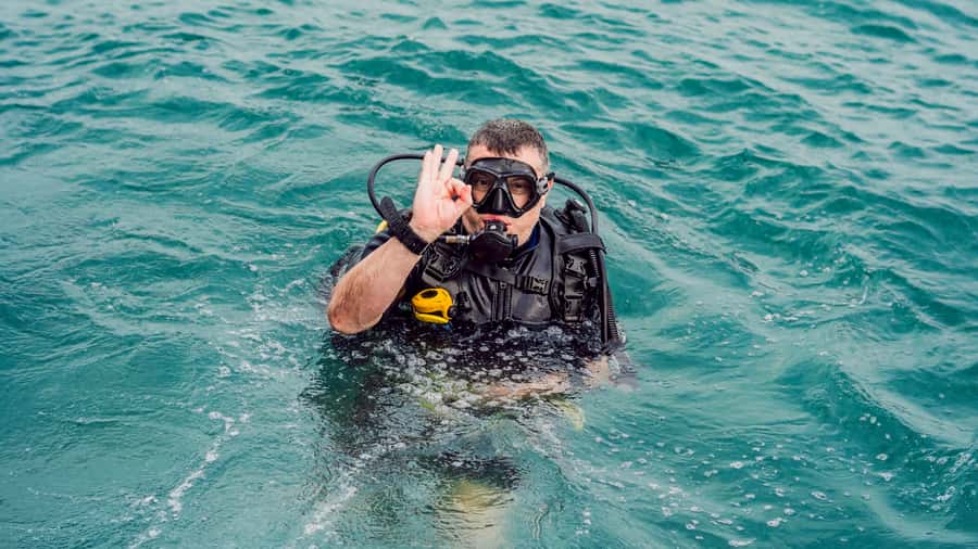 From Dubai: Fujairah Scuba Dive and Snorkeling - Equipment, food, and comfort on the boat