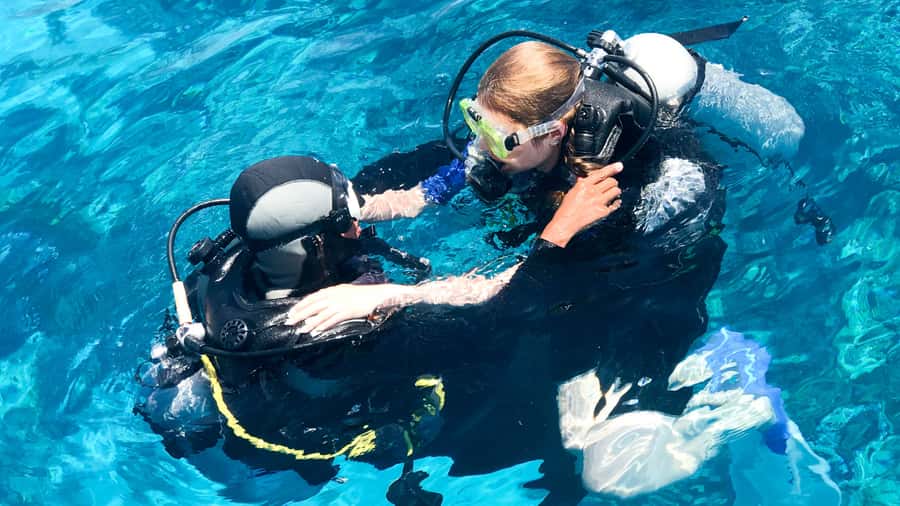 From Dubai: Fujairah Scuba Dive and Snorkeling - How the timing really works