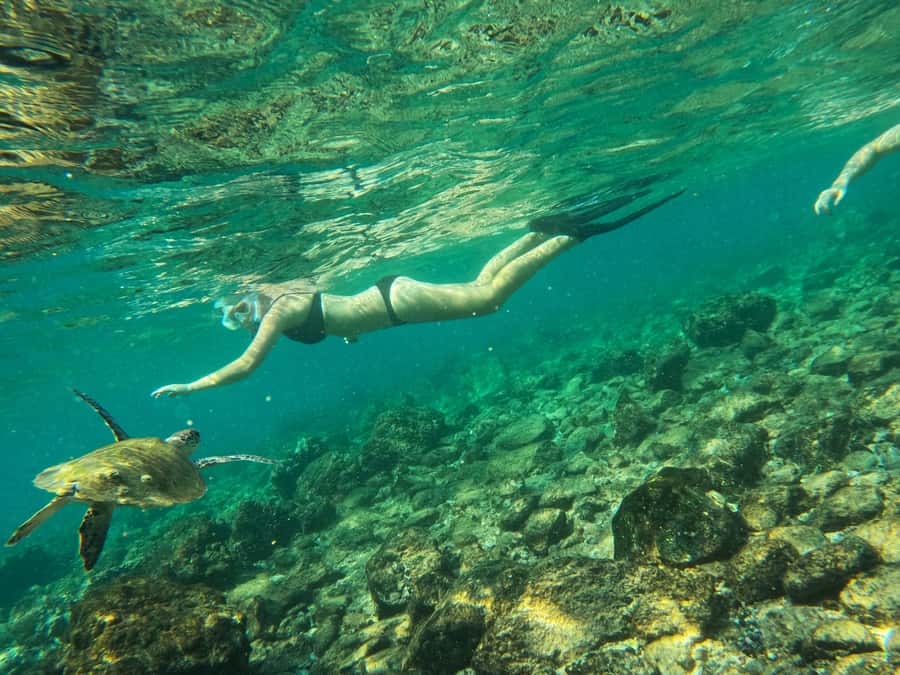 From Dubai: Fujairah Snorkeling with Turtles, Transfer & BBQ - The long road from Dubai to Fujairah