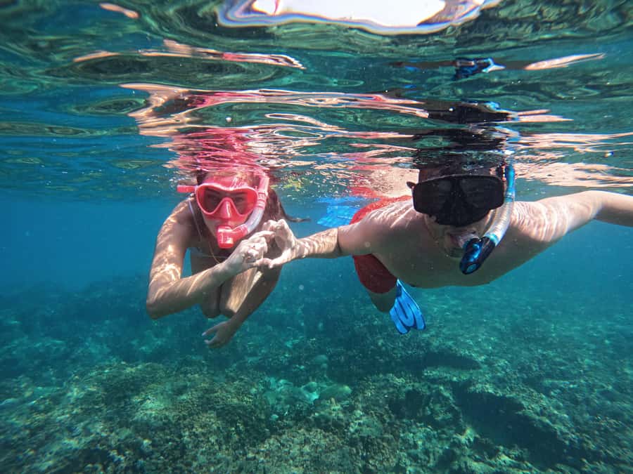 From Dubai: Fujairah Snorkeling with Turtles, Transfer & BBQ - Snoopy Island: your first look below the surface