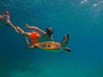 Fujairah Snorkeling with Turtles, Transfer & BBQ