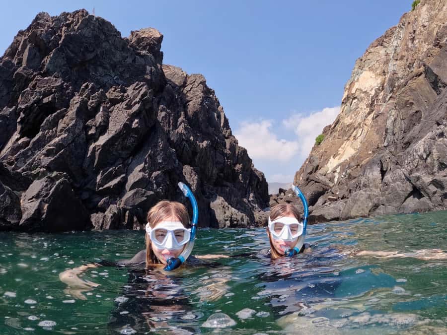 From Dubai: Fujairah Snorkeling with Turtles, Transfer & BBQ - What the $135 price really covers