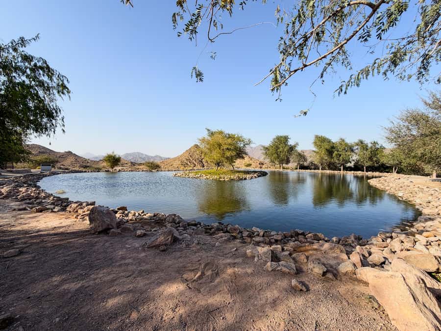 From Dubai: Hatta Sightseeing Tour with kayaking - Is $61 a fair price?