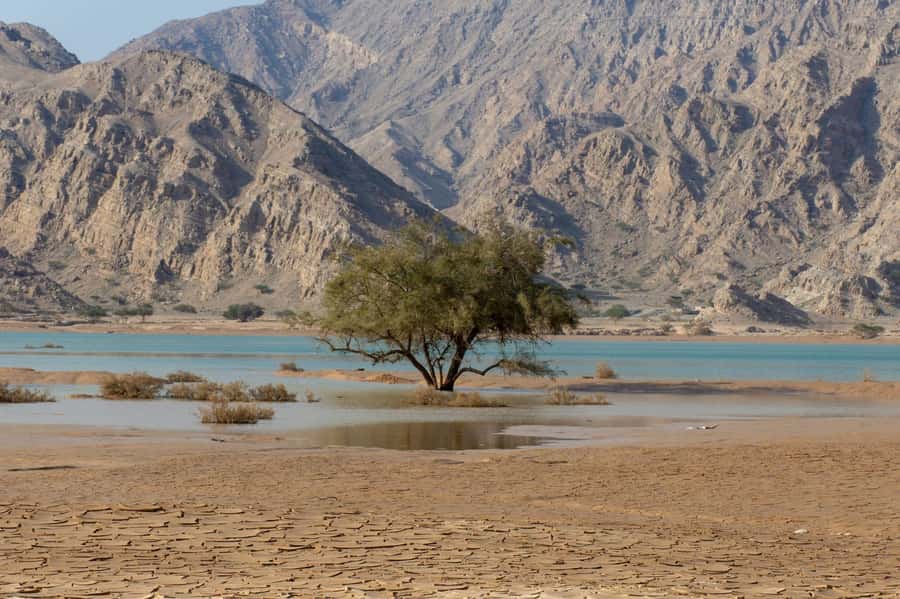 From Dubai: Jabel Jais High Mountain Tour with Transfers - Practical tips for a better day