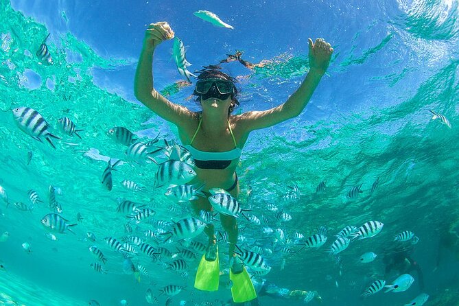 From Dubai: Snorkeling trip in Fujairah - Key things to know before you book