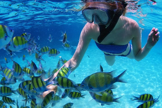 From Dubai: Snorkeling trip in Fujairah - Leaving Dubai for Fujairah