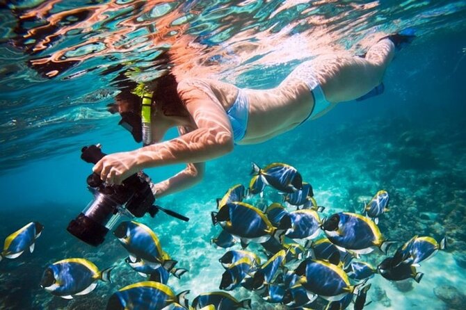 From Dubai: Snorkeling trip in Fujairah - Getting into the water at the snorkel site