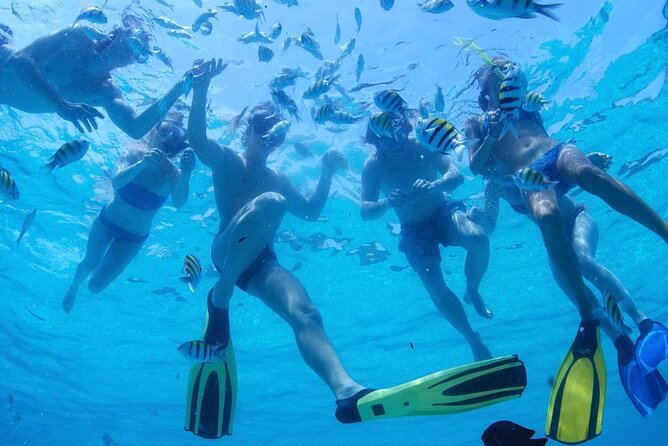 From Dubai: Snorkeling trip in Fujairah - Food, drinks, and what to pack