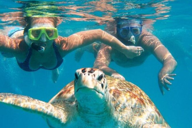 From Dubai: Snorkeling trip in Fujairah - Cruising along the east coast