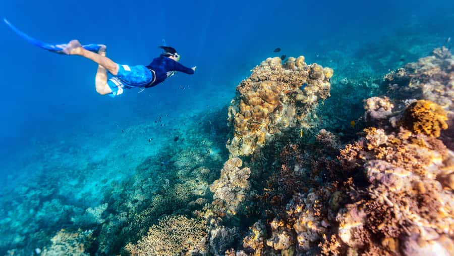 From Dubai: Snorkeling Trip to Dibba Al-Fujairah - Why the Gulf of Oman makes a good day trip
