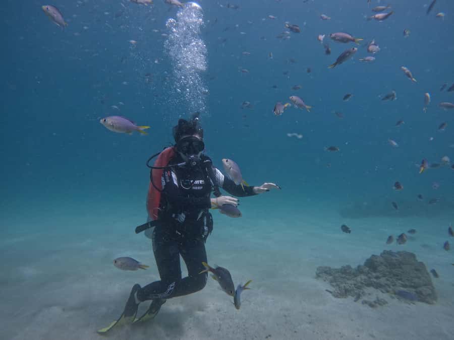 From Dubai: Try Scuba Diving, Snorkeling with BBQ & Transfer - Snoopy Island: the main water stop