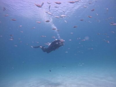 Try Scuba Diving, Snorkeling with BBQ & Transfer